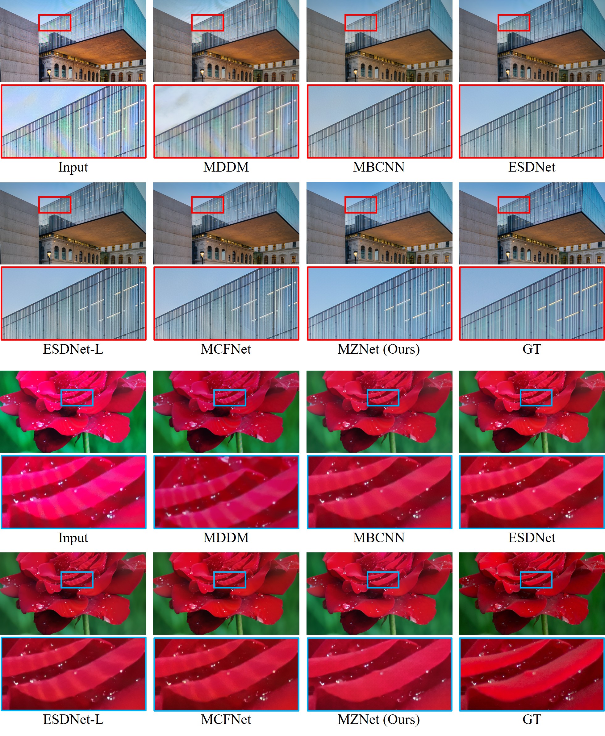 Qual 5